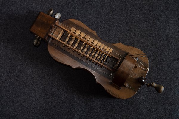 hurdy gurdy player